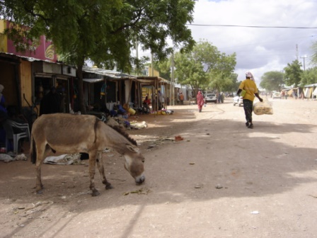 Village in Northern Kenya