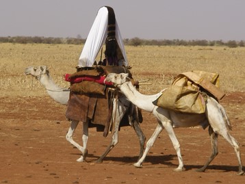 Nomadic pastoralists on the move in North Kordofan, Sudan.