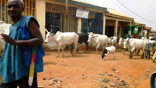 Fulani herdsman in Mpape, near Nigerian capital Abuja, Nov 2014