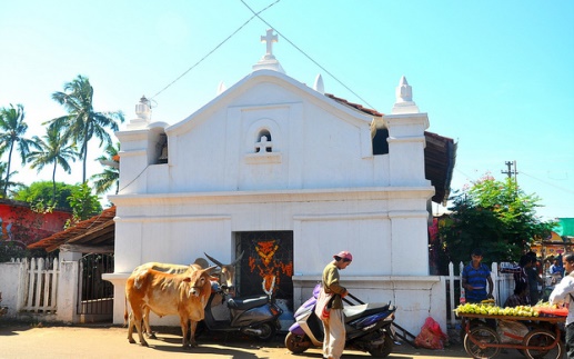 Two cows, a sacred animal for Hindus, stand outside a church in Anjuna Flea Market in Goa.