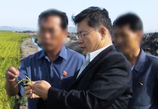 Lim looks over one of the Light Presbyterian Church's agricultural projects in North Korea
