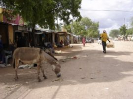 Al-Shabaab kills 36 Kenyan Christians on Somali border