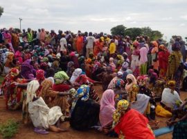 Thousands of Nigerian refugees forced back home to looming famine