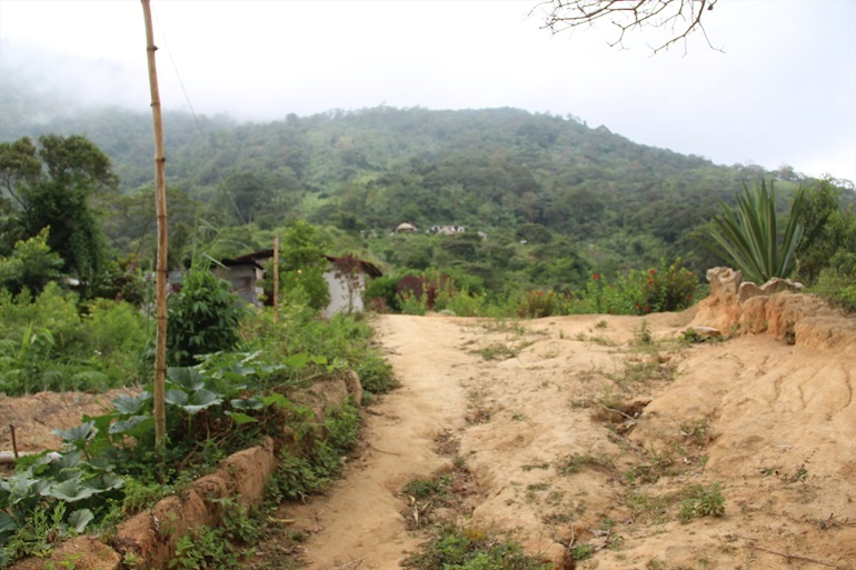 A path that leads to one of the indigenous communities. (Photo: World Watch Monitor)