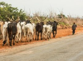 ‘Fulani herdsmen attacks have caused $1 billion damage in just one Nigerian state’
